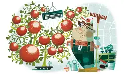 raq-issue-166-top-image